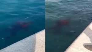 Korkunç anlar: Balık tutarken oltaya ceset takıldı!