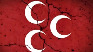 MHP'de 2 il teşkilatı daha feshedildi!