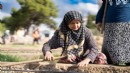 Mahalle bostanlarında kış mesaisi