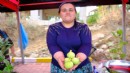 Menemen'de festival rüzgarı esecek