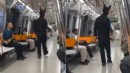Metroda tüfekle gezen tavşan kostümlü kişiye gözaltı!
