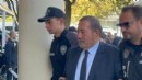 Milas Belediye Başkanı Fevzi Topuz tutuklandı