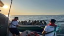 Muğla açıklarında sürüklenen 14 düzensiz göçmen kurtarıldı