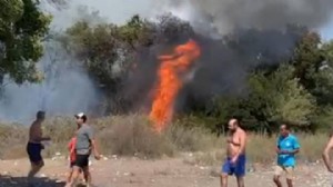 Muğla ve Malatya'da orman yangını!