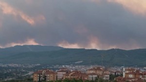 Muğla’da orman yangını: Kısa sürede büyüdü!