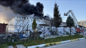 Organize Sanayi Bölgesi'nde yangın paniği