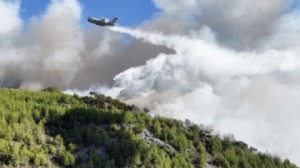 Orman yangınlarına yol açan fiillere ağır yaptırım