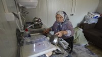 Orman yangınlarının yaraları sarılıyor