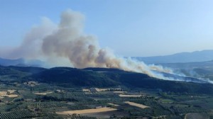 Orman yangınlarıyla ilgili 11 kişi gözaltına alındı