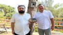 Ormanları 'kuş yuvaları' koruyacak