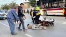 Otobüsün çarptığı kadından acı haber... Sürücü serbest!