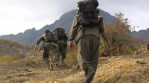 PKK'nın silah bırakma süreci nasıl olacak?