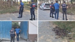 Patlıcanları yere döktü: 17 milyon liralık ceza!