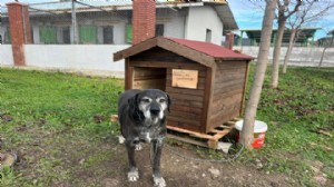 Seferihisar’da 'Can Dostlar' için anlamlı kampanya