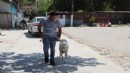 Selçuk’ta 'Satın alma, sahiplen' çağrısı