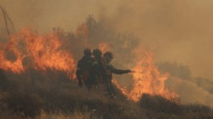 Türkiye alevlere teslim: Son bir haftada 624 yangın!