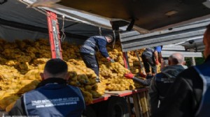 Tarlada kalmadı, sofraya ulaştı: Büyükşehir'den 60 bin haneye destek!
