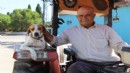 Tarlanın en sadık emekçisi: Benekli ile yürekleri ısıtan dostluk!
