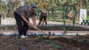 Toprakla buluştu, yaşama yeniden tutundu