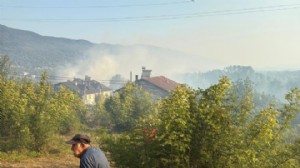 Bartın'da orman yangını: Müdahale sürüyor