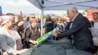 Zeytin üreticisine destek!